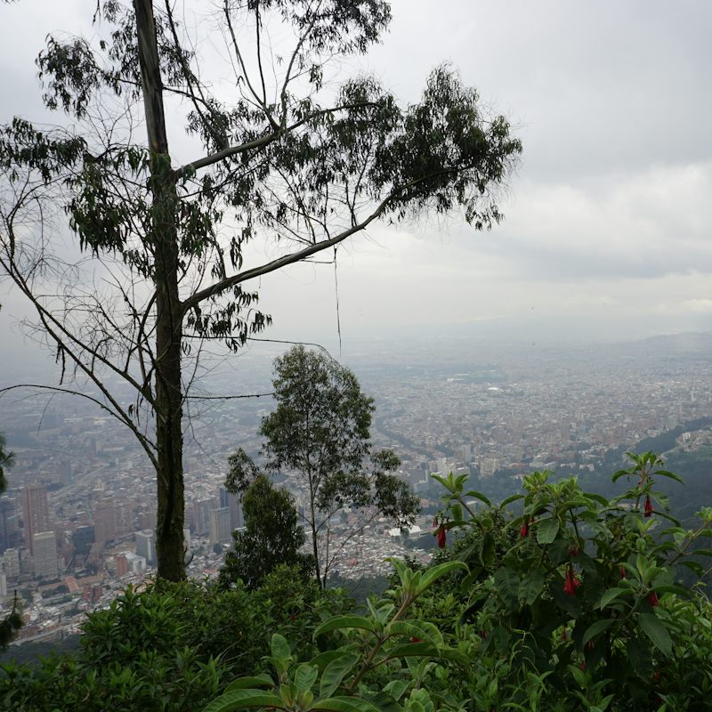 Bogotá