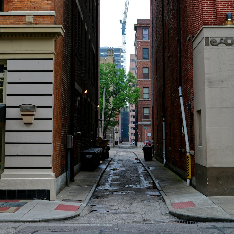 Artists in Cincinnati