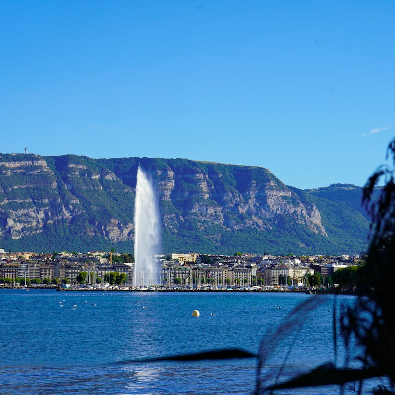 Art Galleries in Geneva