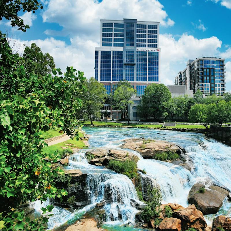 Curators in Greenville