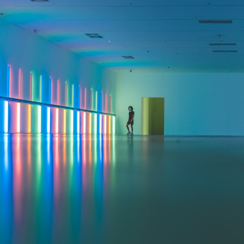 Museums in Houston