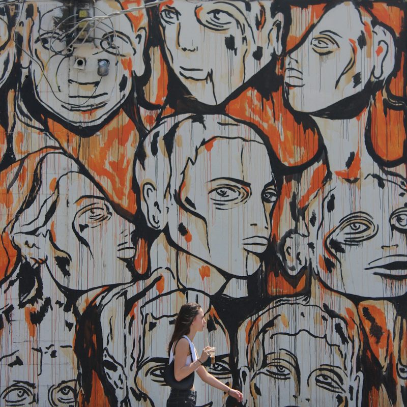 Curators in Miami